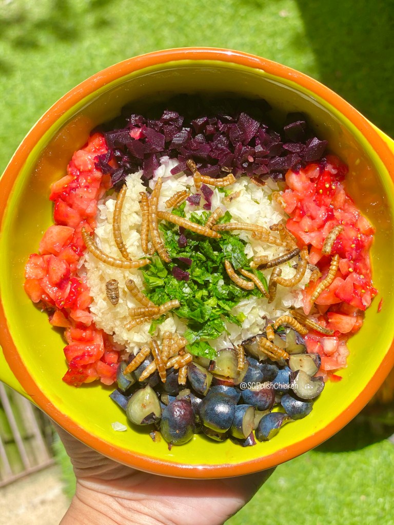 Polish Chicken Singapore