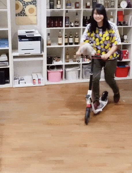 Polish Pet Chicken in Singapore