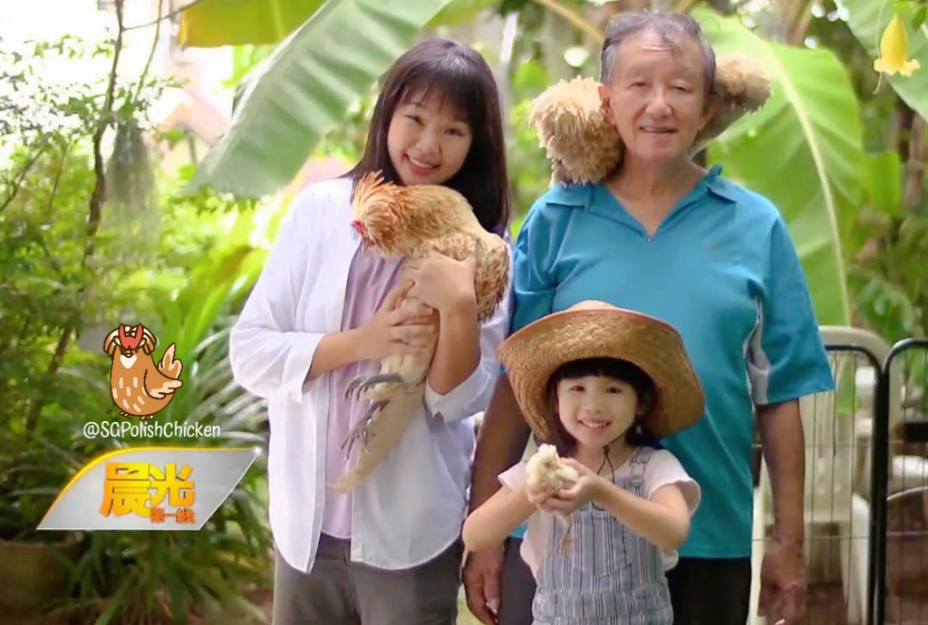 Polish Pet Chicken in Singapore SGPolishChicken